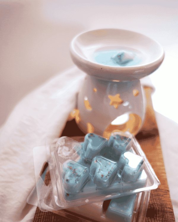 Wax Melts c/ Efeitos Especiais - Image 1