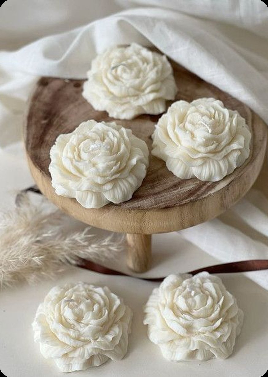 aulavelamoldebasico 1