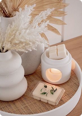 aulawaxmeltsbasico 1